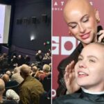 CP-2023-0235-33219155-thumb