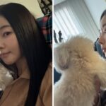 CP-2023-0235-33408490-thumb