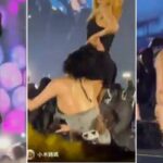 CP-2023-0235-33433636-thumb