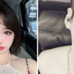 CP-2023-0235-33549119-thumb