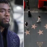 CP-2023-0235-33534577-thumb