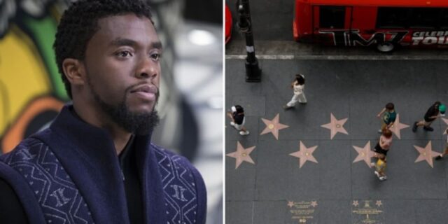 CP-2023-0235-33534577-thumb