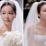 CP-2023-0235-33591904-thumb