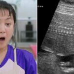 CP-2023-0235-33624665-thumb