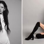 CP-2023-0235-33633802-thumb