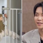 CP-2023-0235-33784328-thumb