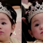 CP-2023-0235-33819023-thumb