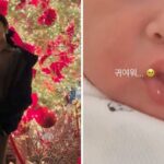 CP-2023-0235-33938048-thumb