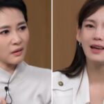 CP-2023-0235-34288346-thumb