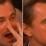 CP-2023-0235-34448072-thumb