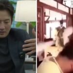 CP-2023-0235-34458670-thumb