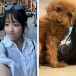 CP-2023-0235-34494984-thumb