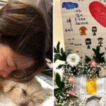 CP-2023-0235-34801289-thumb