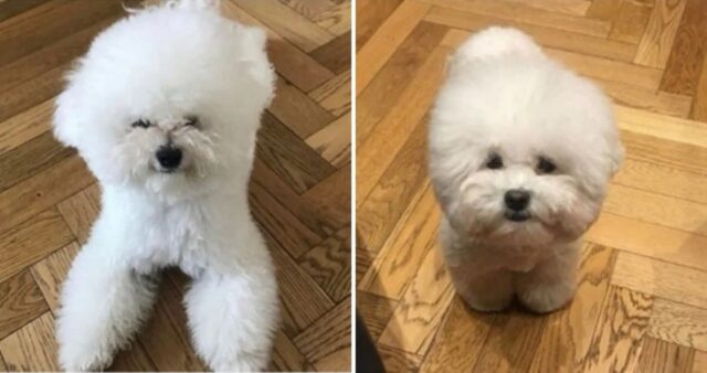 CP-2023-0235-34908441-thumb