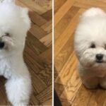 CP-2023-0235-34908441-thumb