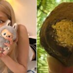 CP-2023-0235-35081371-thumb