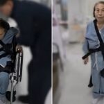 CP-2023-0235-35402776-thumb