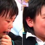 CP-2023-0235-35442793-thumb