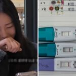 CP-2023-0235-35629050-thumb