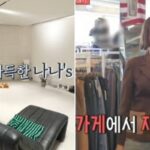 CP-2023-0235-35663277-thumb