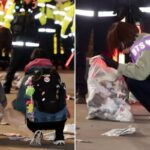 CP-2023-0235-35816486-thumb