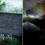 CP-2023-0235-36492896-thumb