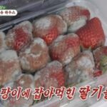 CP-2023-0235-36633776-thumb