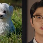 CP-2023-0235-36647492-thumb